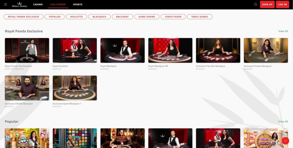 netbet cassino